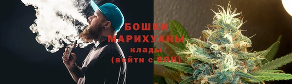 винт Аркадак