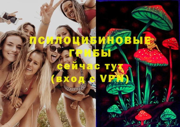 гидропоника Армянск