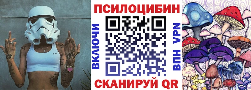 mega как зайти  Озёрск  Псилоцибиновые грибы MAGIC MUSHROOMS 